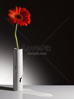 lovepik-red-flower-in-broken-vase-picture_501507733.jpg