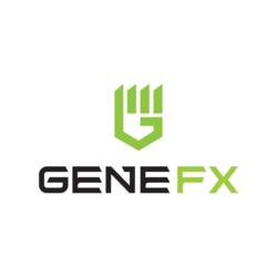 gnfx.png