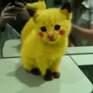 Bikachu