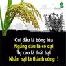 Để Tao Nói Cho Mà Nghe