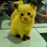 Bikachu