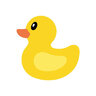 springduck