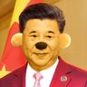 Xi Pooh